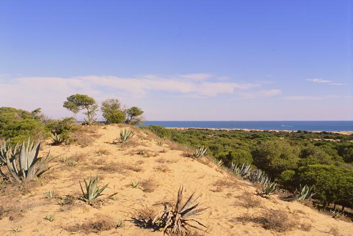 Hotel Quino Guardamar del Segura Εξωτερικό φωτογραφία