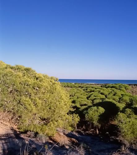 Hotel Quino Guardamar del Segura Εξωτερικό φωτογραφία